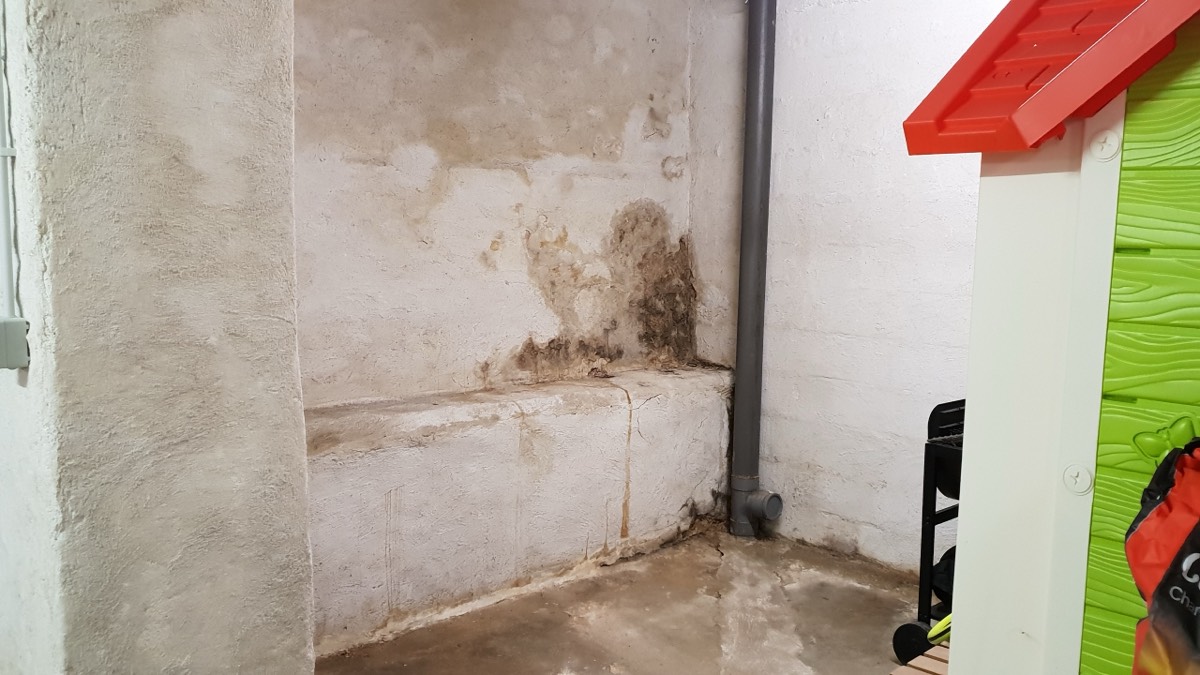 Infiltrations d'eau - Expertise humidité à Vesoul